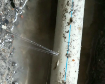 东丽卫生间测漏水多少钱