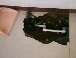 东丽卫生间测漏水多少钱